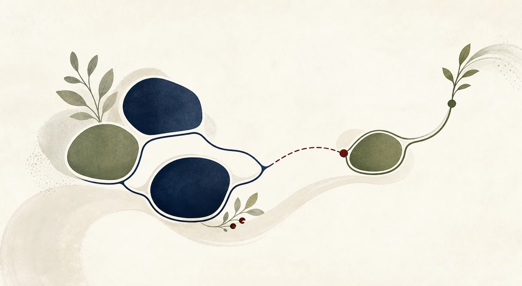 Editorial illustration of connected rounded forms with one focused extension